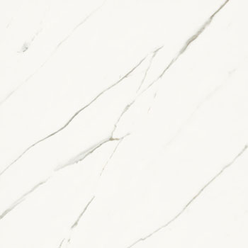 AE EXT6 120 RM.jpg